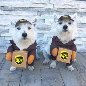 Animal supplies،مستلزمات الحيوانات