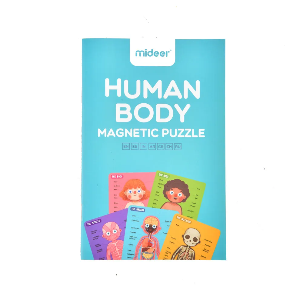 Body Magnetic Puzzle