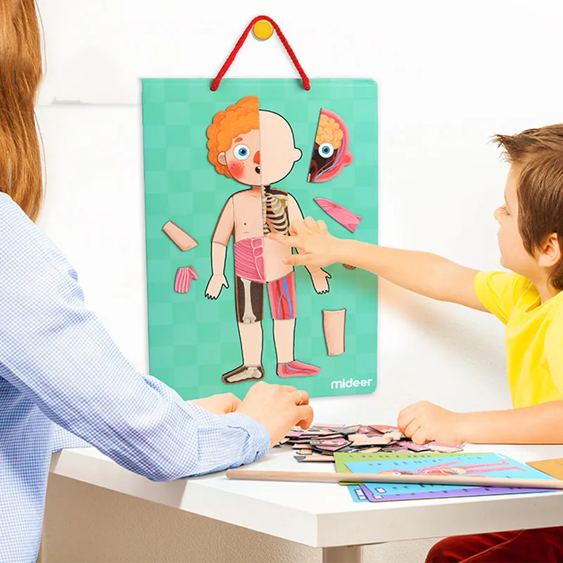 Body Magnetic Puzzle
