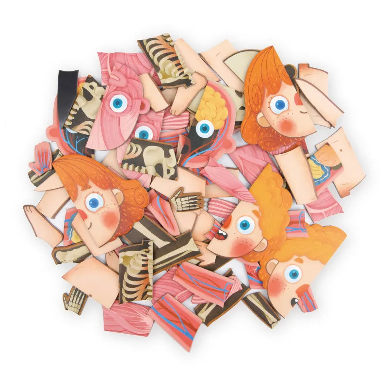 Body Magnetic Puzzle