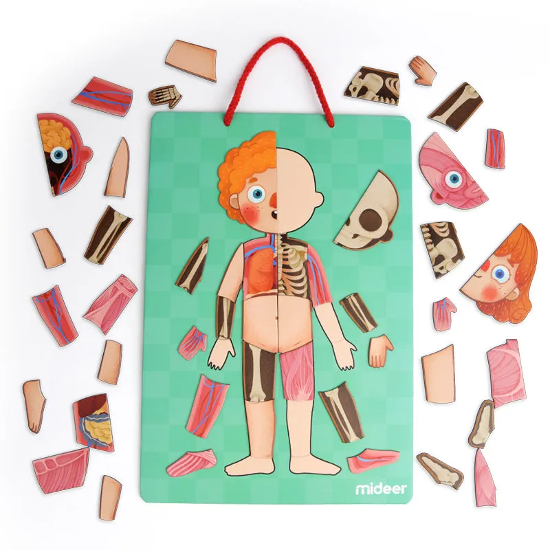 Body Magnetic Puzzle