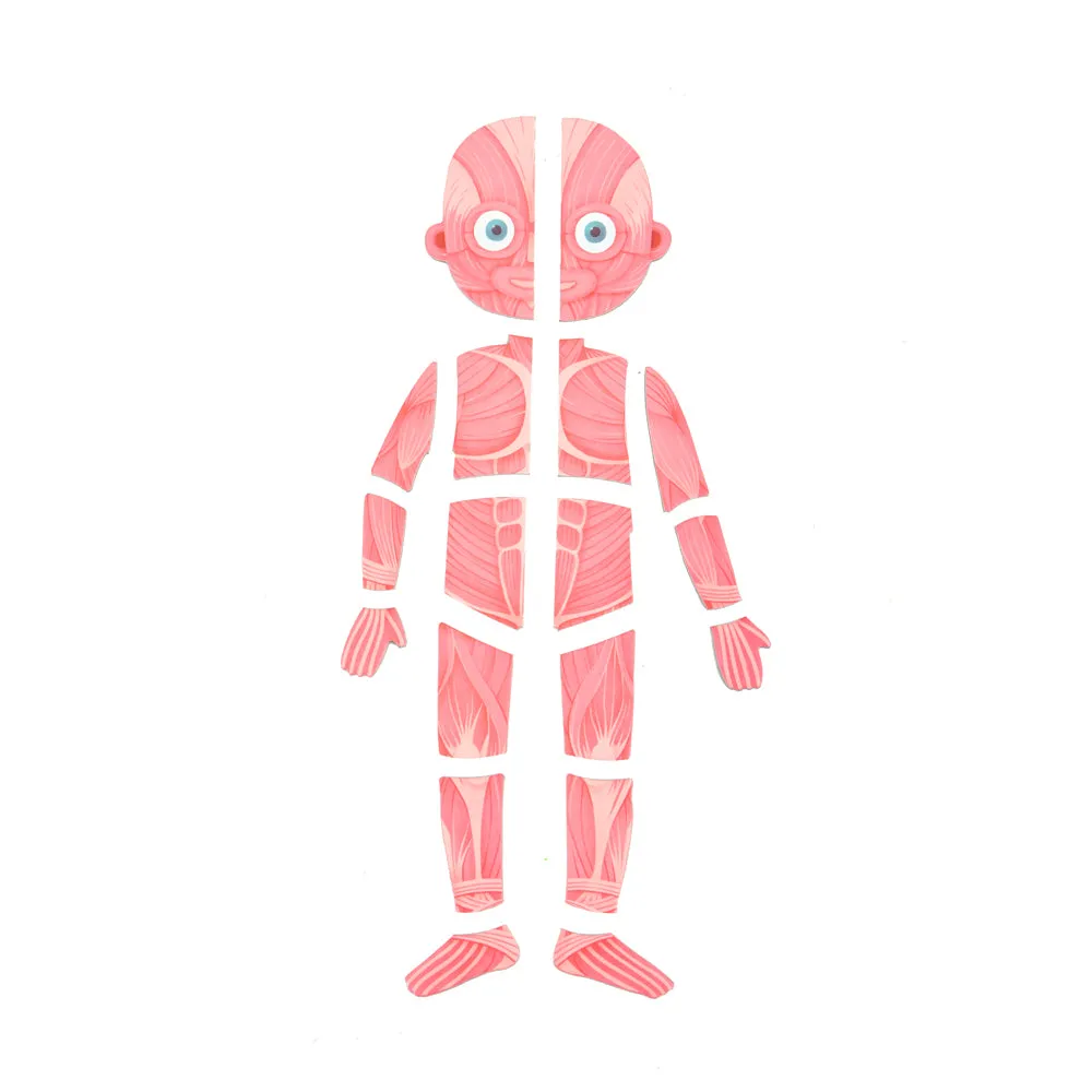 Body Magnetic Puzzle