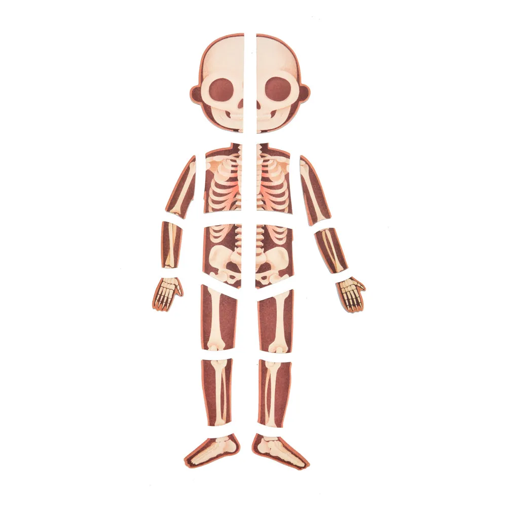 Body Magnetic Puzzle