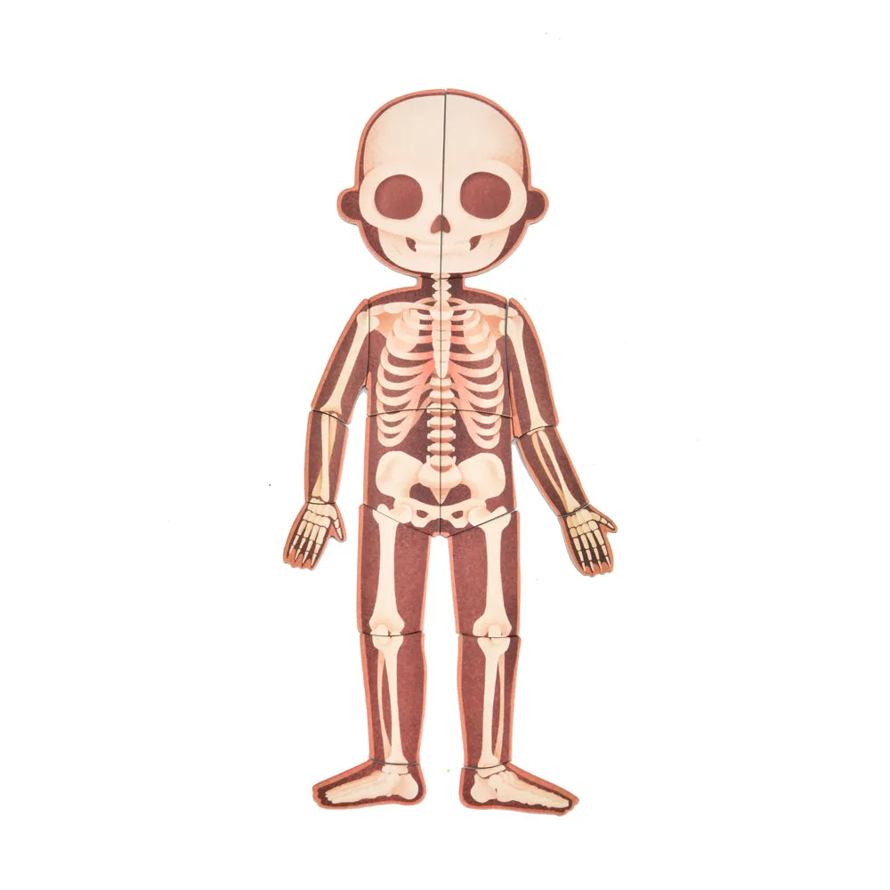 Body Magnetic Puzzle