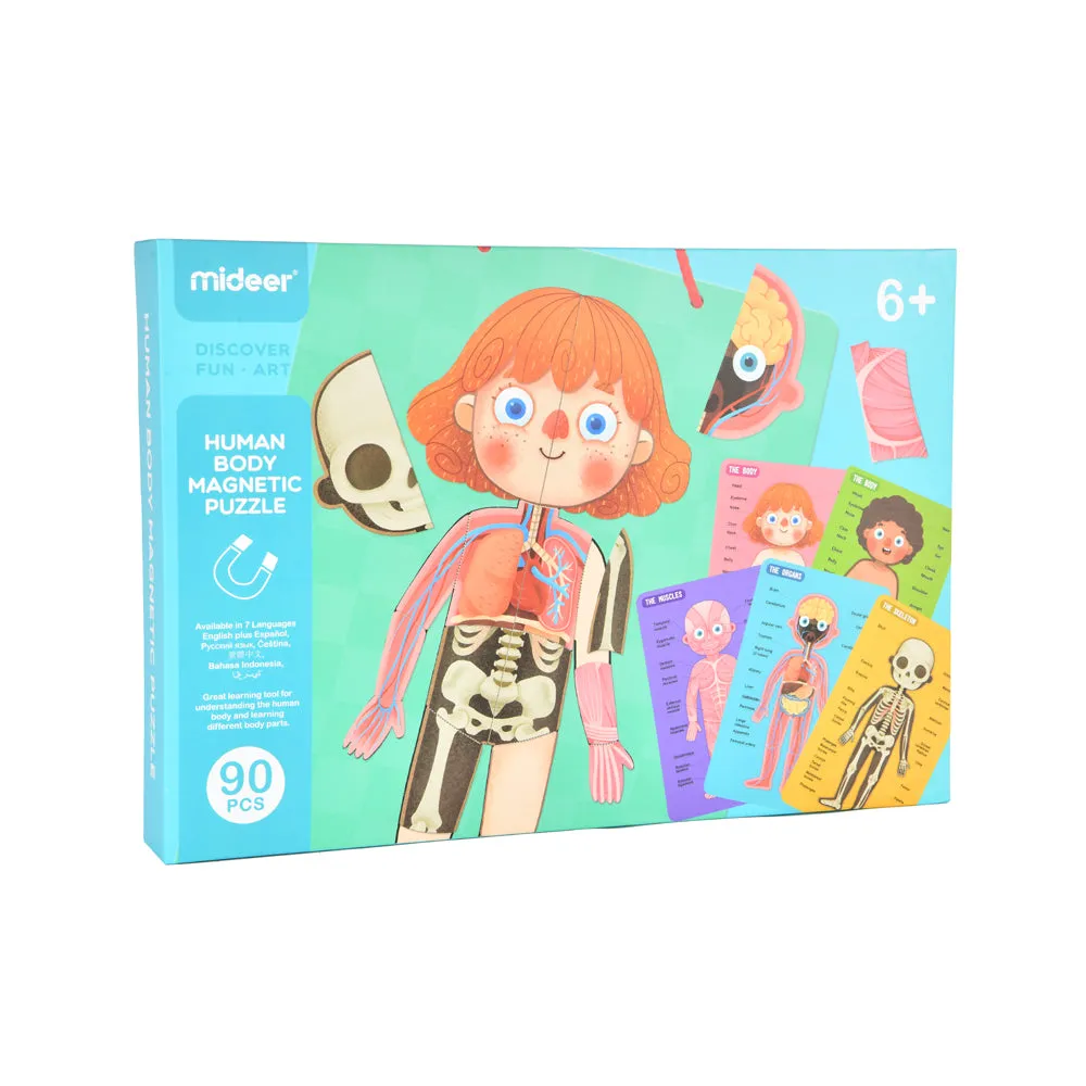 Body Magnetic Puzzle