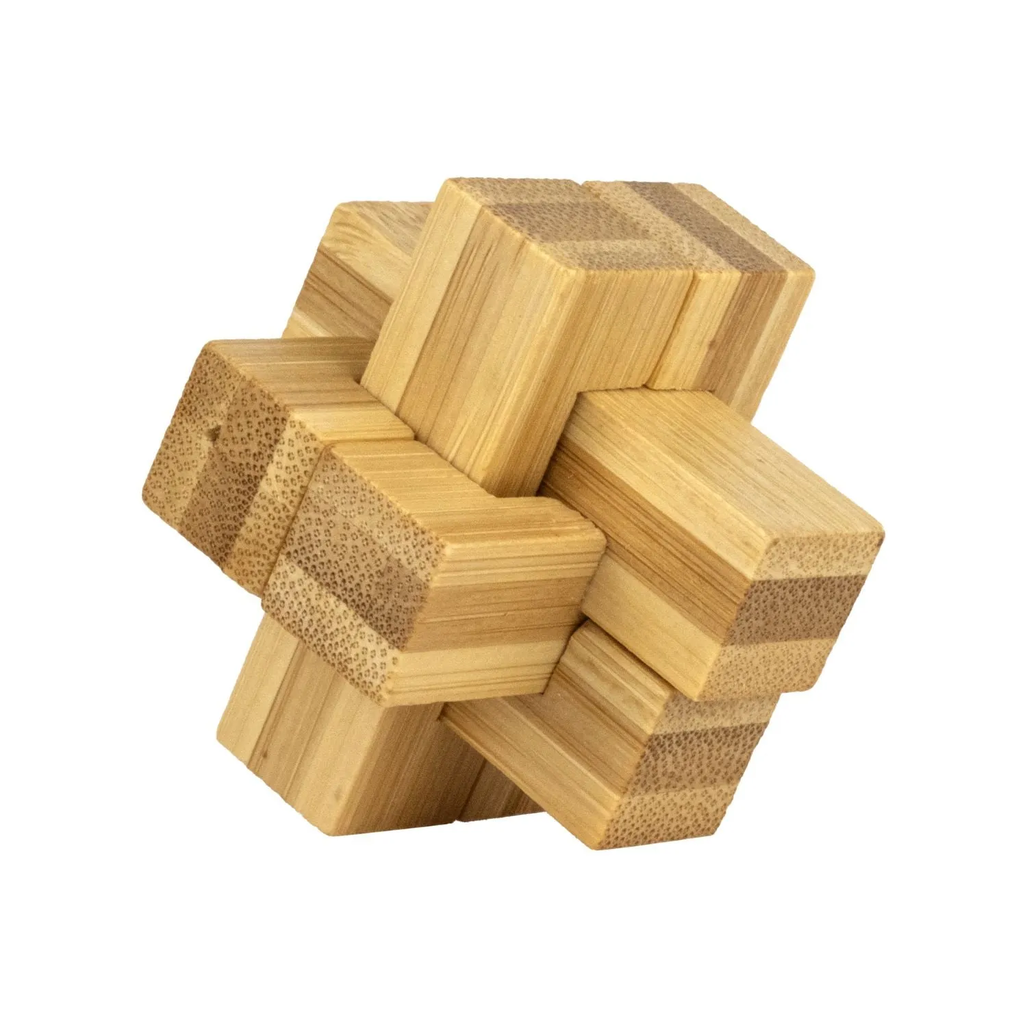 Ecological Brainteasers - 6 pack