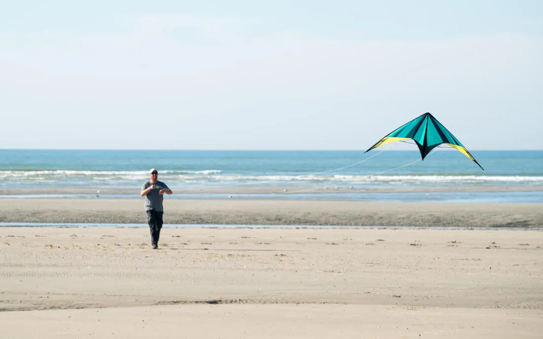 Feel'R 180 stunt kite