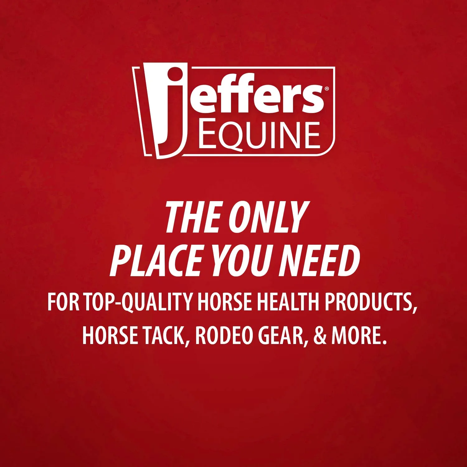 In Stock Now! Jeffers Expression 1200 Denier Standard Neck Turnout Blanket, 240 Gram, Party Cheetah