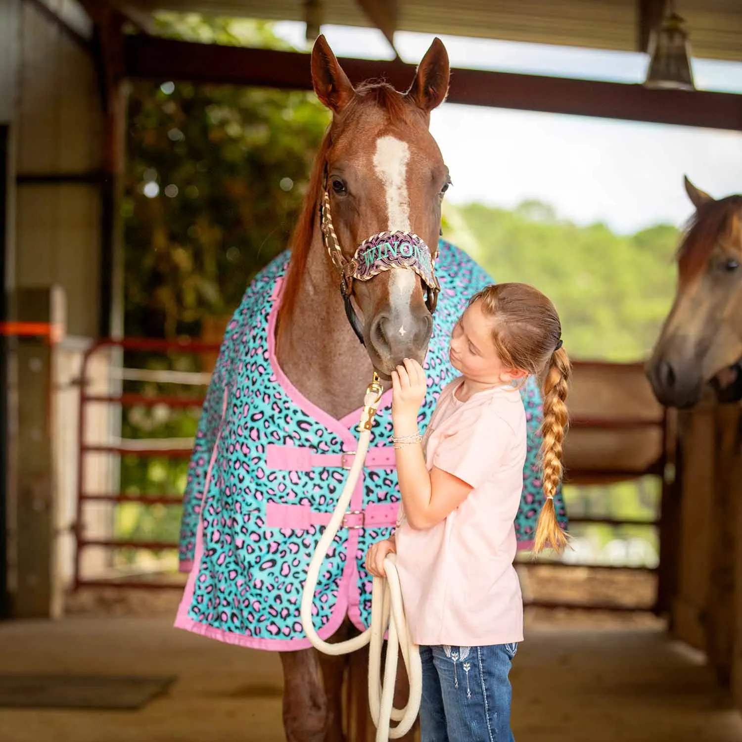 In Stock Now! Jeffers Expression 1200 Denier Standard Neck Turnout Blanket, 240 Gram, Party Cheetah