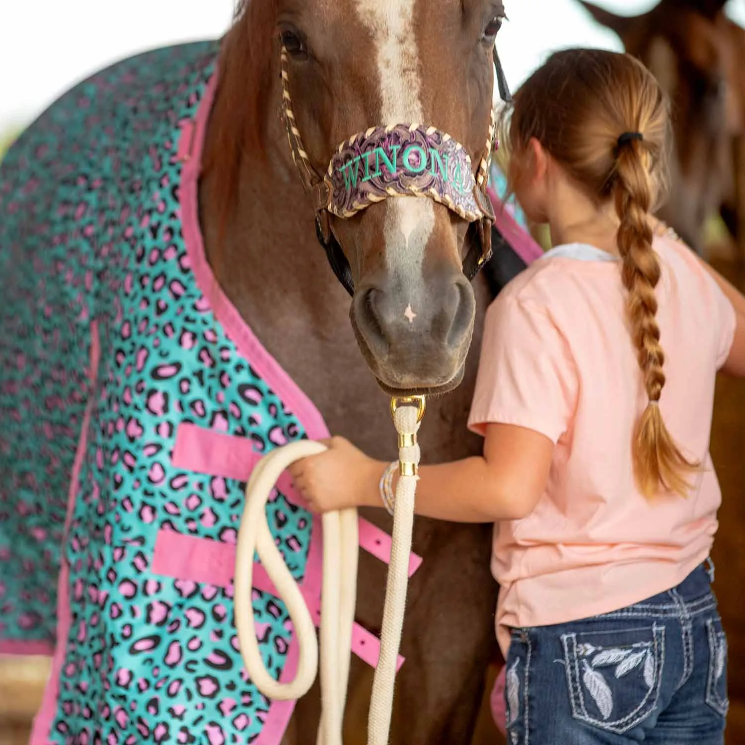 In Stock Now! Jeffers Expression 1200 Denier Standard Neck Turnout Blanket, 240 Gram, Party Cheetah