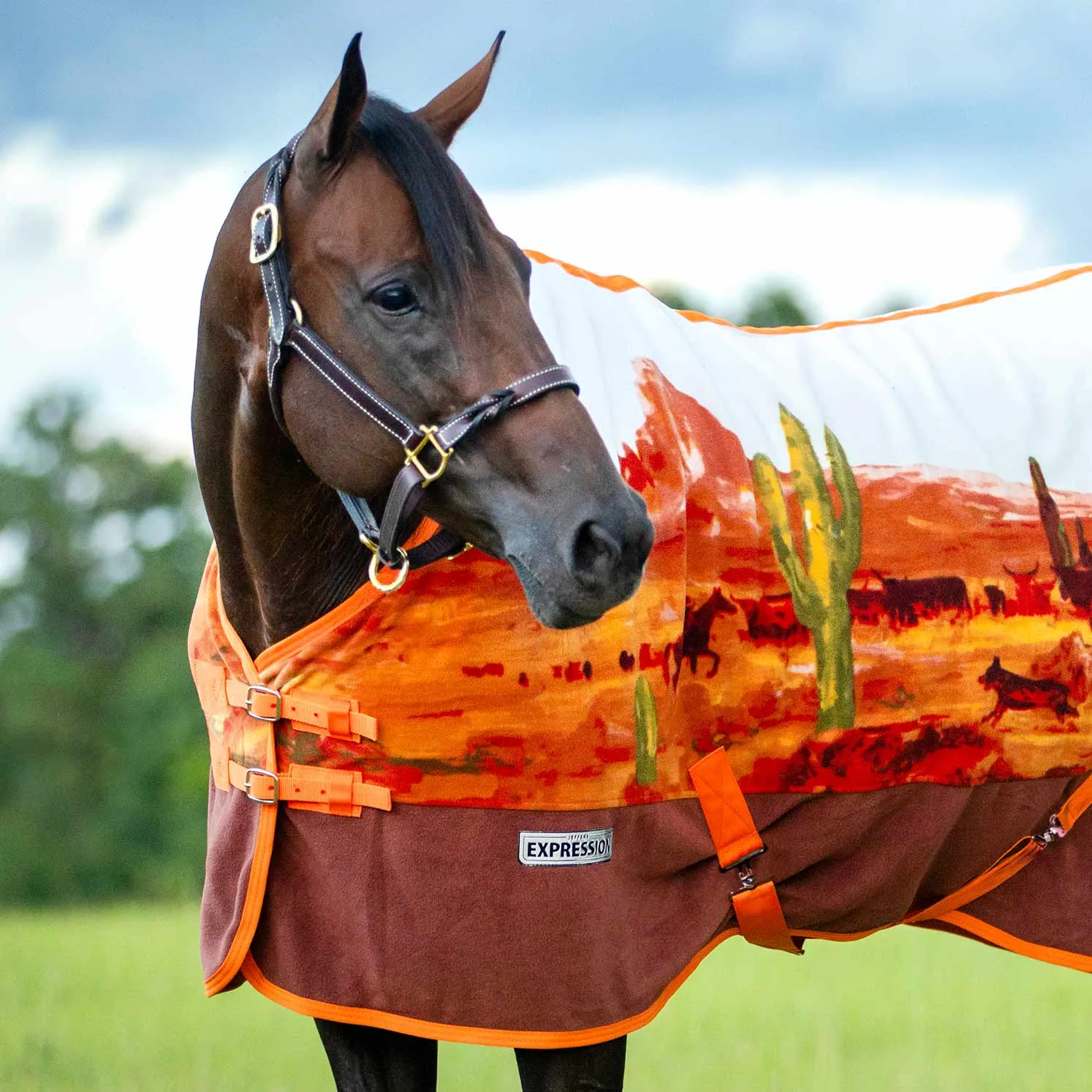 In Stock Now! Jeffers Expression Standard Neck Fleece Cooler, Cattle Drive