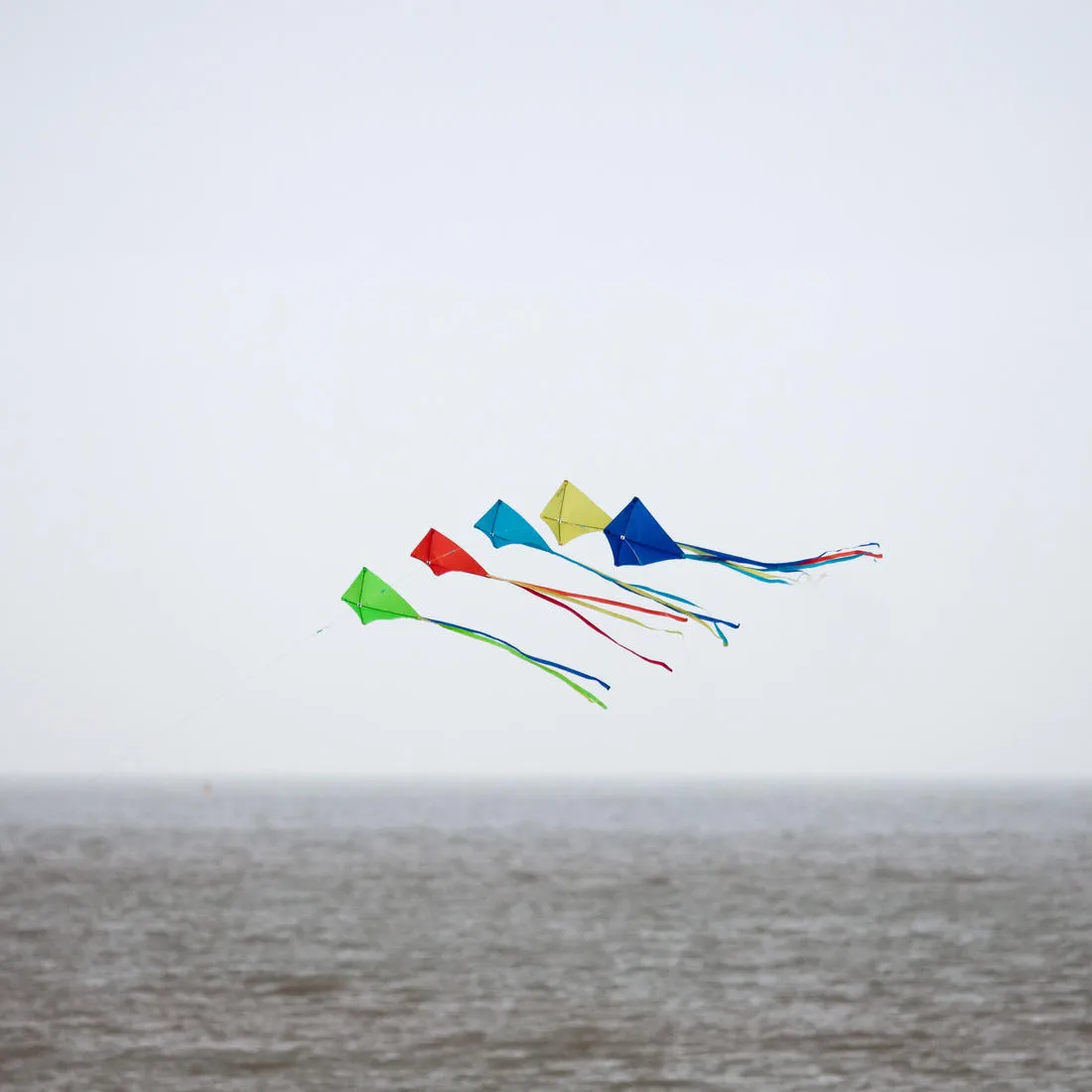 Static Kite (stringless) - MFK 100