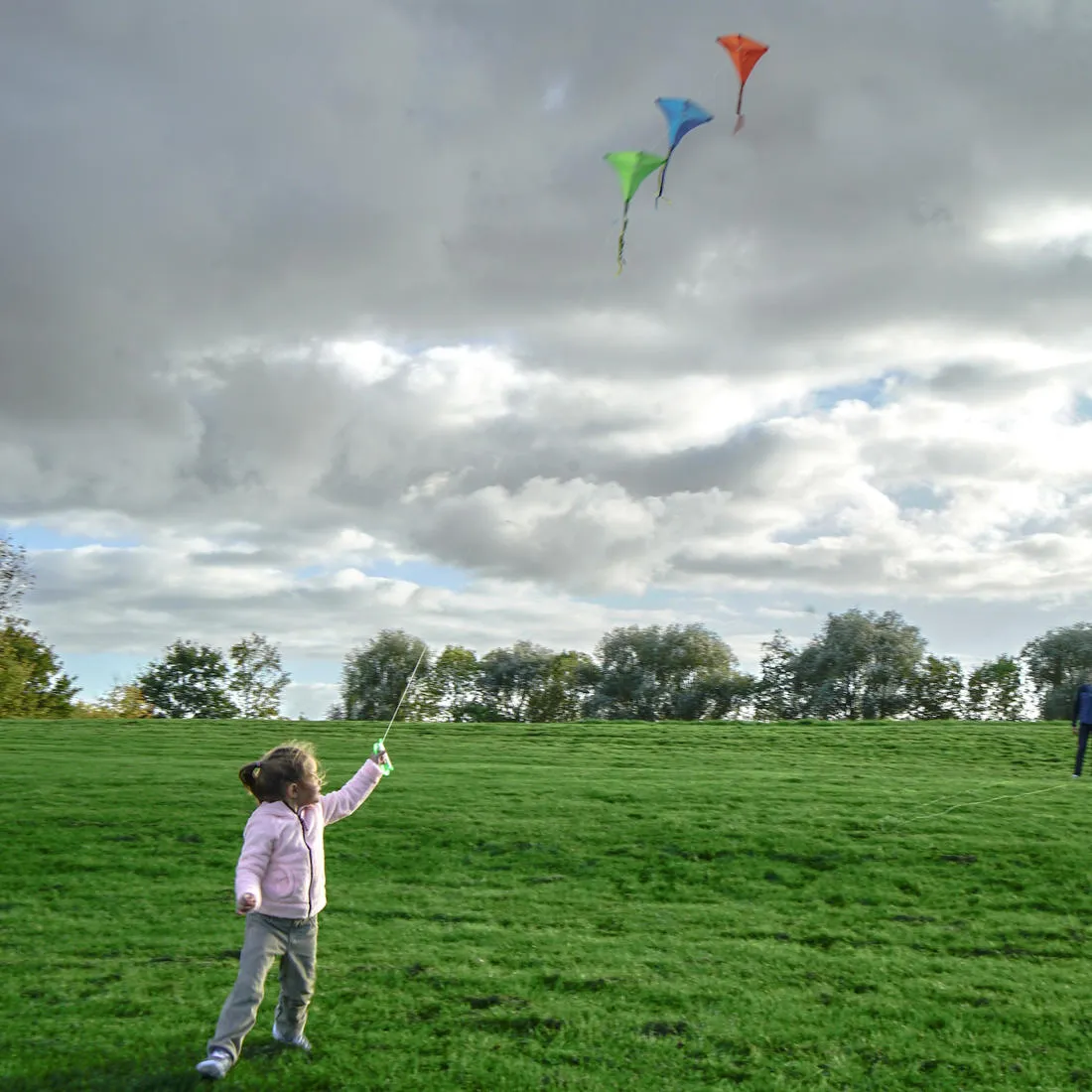 Static Kite (stringless) - MFK 100