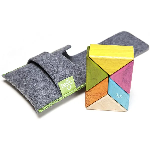Tegu Pocket Pouch Prism 6pc (Tints) (1 )